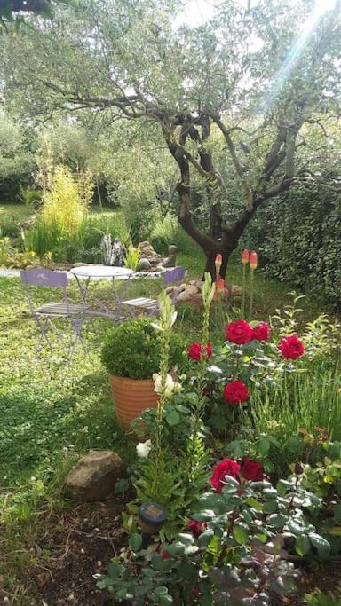 Villa Le Temps Des Cerises. Vinsobres Exterior foto